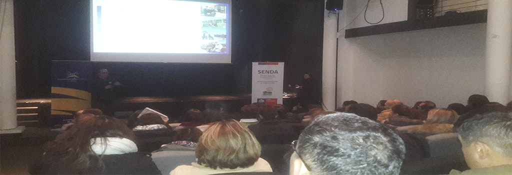 FORMATO FOTO PAGINA WEB