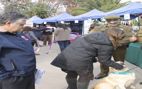 SENDA Colina realiza exitosa «Feria Preventiva 2017»