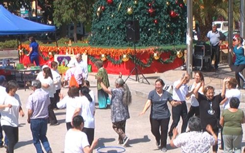 Centro Día de «Mis Mejores Años»realiza exitosa muestra en Plaza de Armas de Colina
