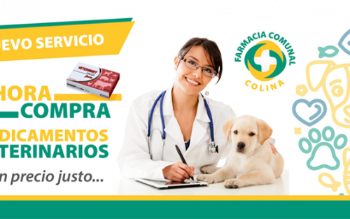 Medicamentos Veterinarios: Nuevo servicio de la Farmacia Comunal de Colina