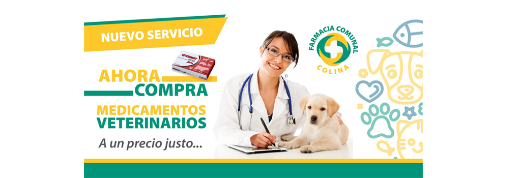 VET WEB BANNER 2