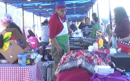 Agrupaciones mapuches de Colina mostraron sus tradiciones en parque San Miguel