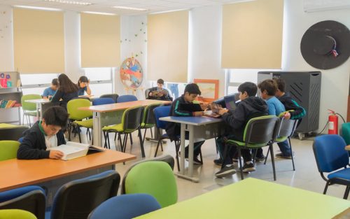 ESCUELAS ANDALIÉN, SANTA TERESA DEL CARMELO, SAN FRANCISCO DE ASÍS Y LICEO BICENTENARIO DESTACARON EN RESULTADOS SIMCE