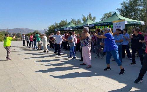 PROGRAMA MAS ADULTOS MAYORES AUTOVALENTES