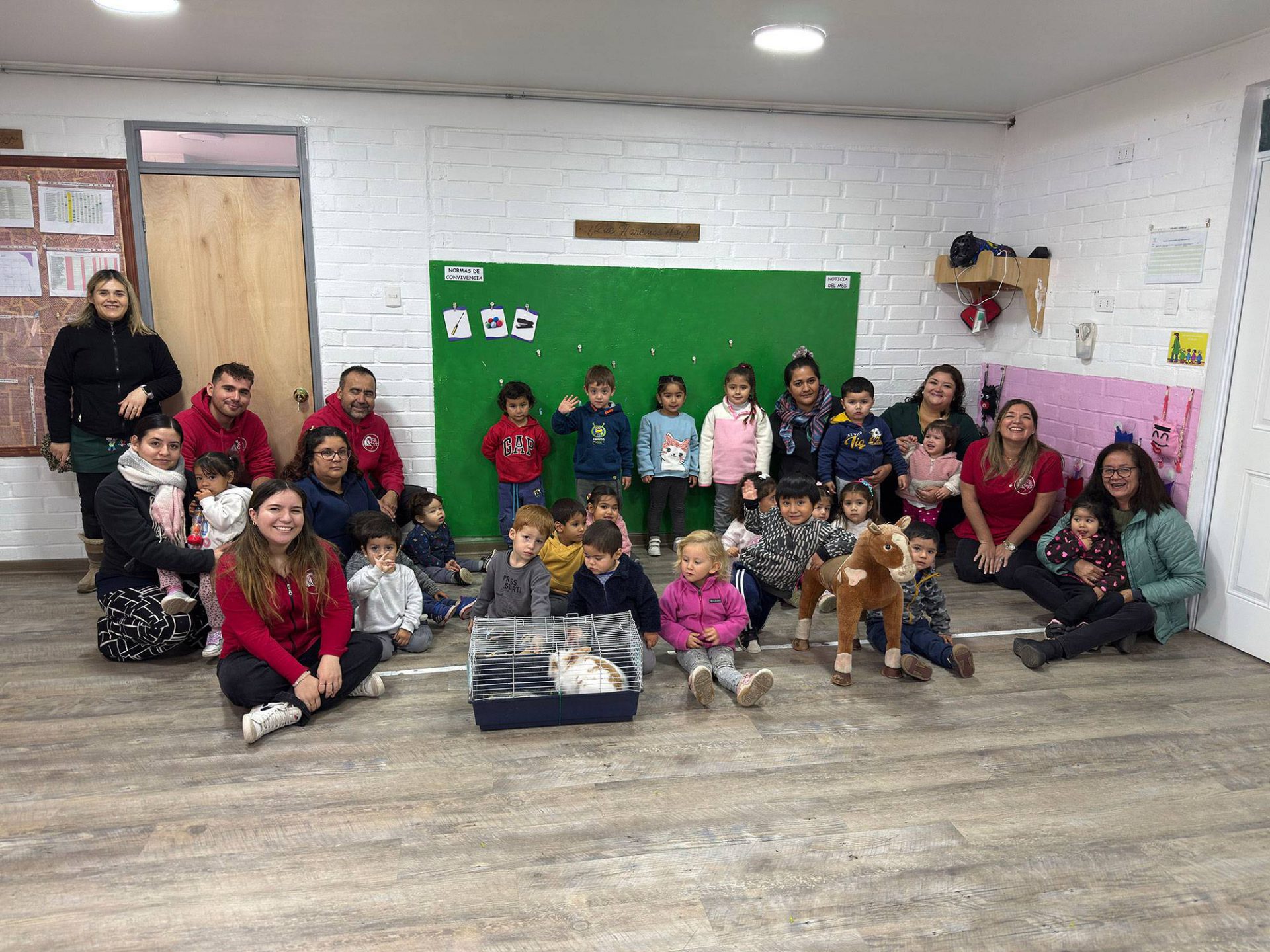 Cuniterapia-Colina-04