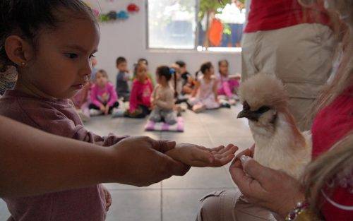 JARDÍN ALICIA MOREL PROMUEVE EL RESPETO Y BIENESTAR ANIMAL EN JORNADA EDUCATIVA